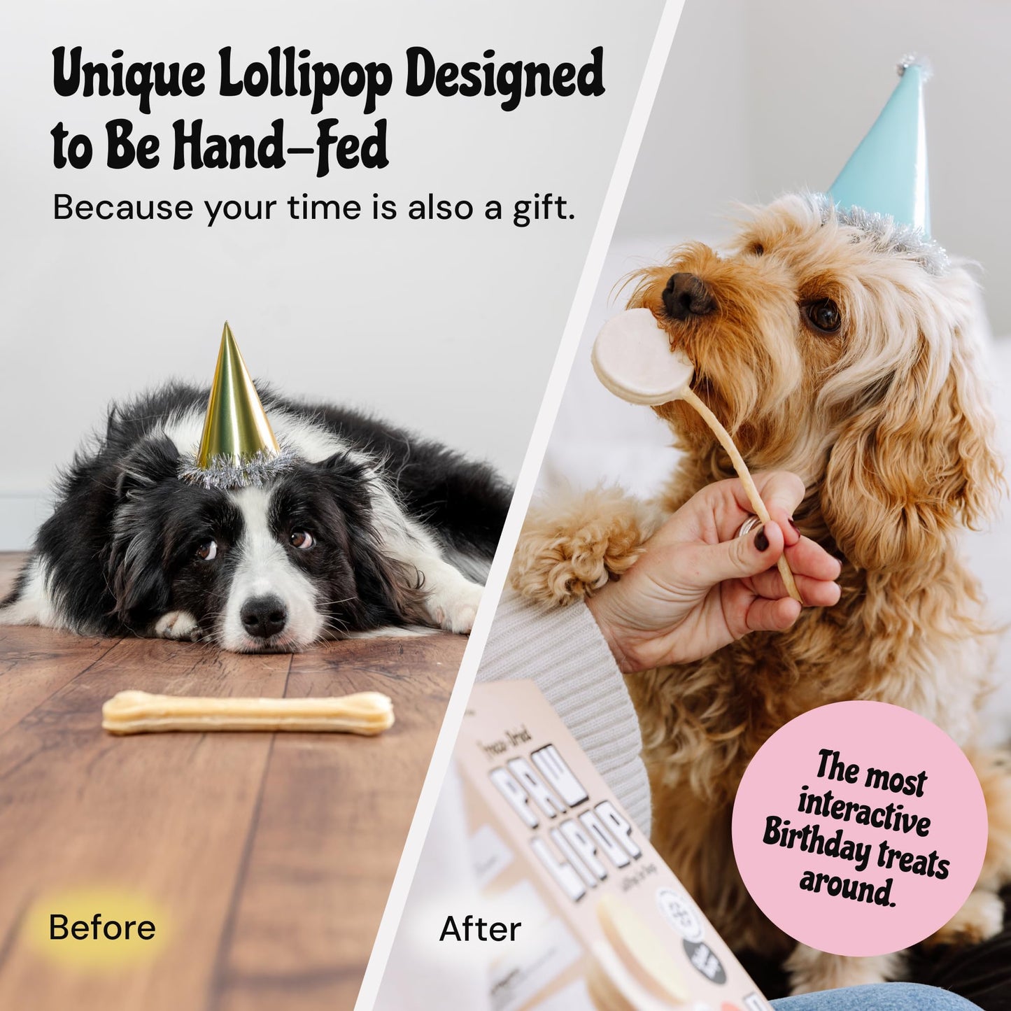 MalsiPree Lollipop Freeze Dried Dog Birthday Treats - Low Calorie, High Protein Chicken Recipe with Digestion Friendly Pumpkin & Goat Milk - Dog Treats for Birthdays & Puppy Training (8 Pack)