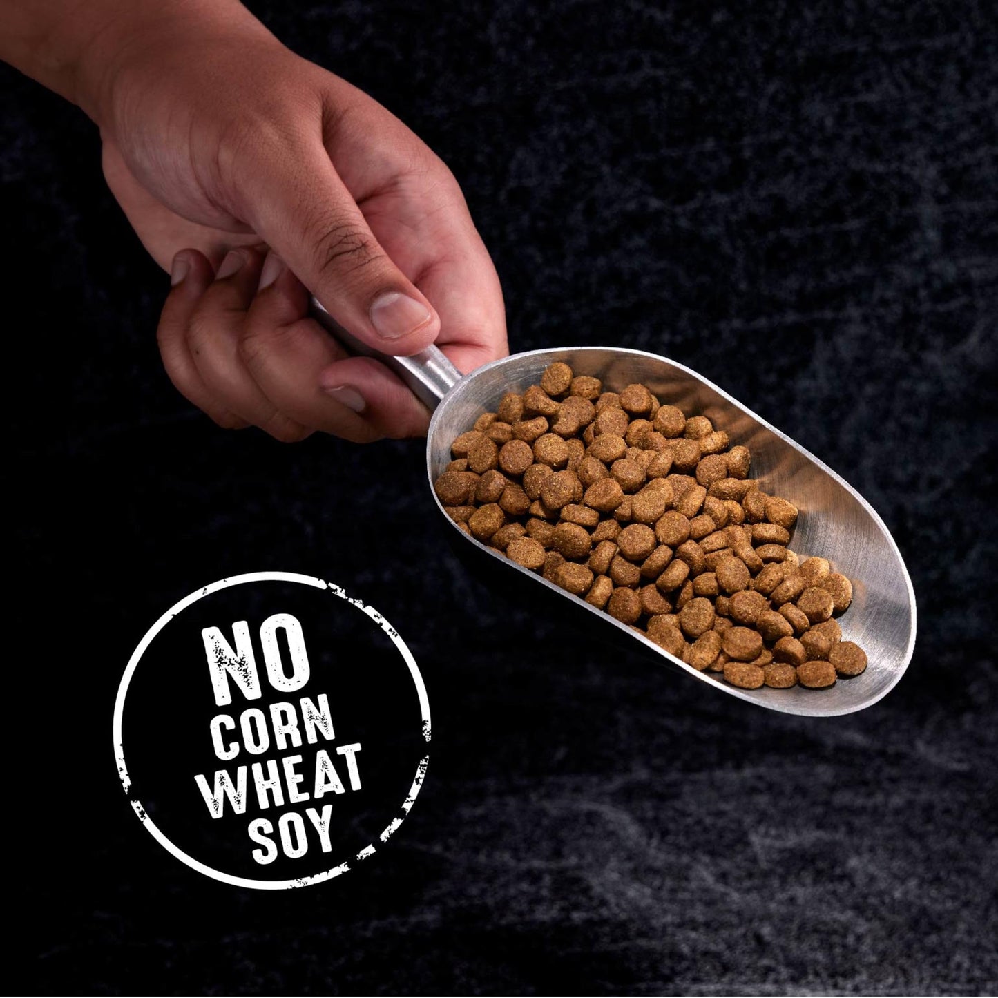 CRAVE Grain Free High Protein Adult Dry Dog Food, Beef, 22 lb. Bag