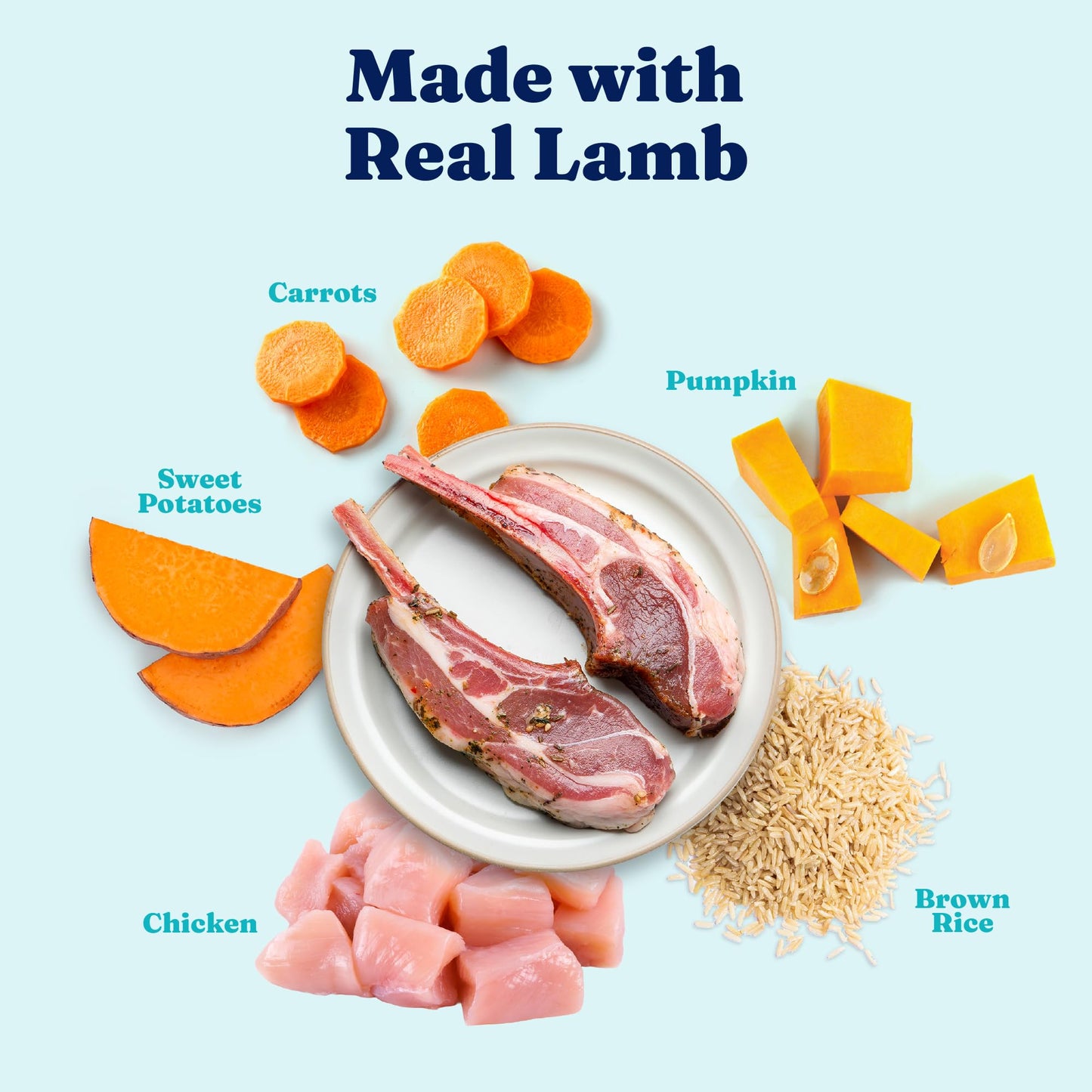 Solid Gold Canned Dog Food for Adult & Senior Dogs - High Protein Wet Dog Food w/Real Lamb, Whole Grains & Probiotics for Gut Health & Immunity - Small, Medium & Large Breed Dogs - 6ct 12.5oz Cans