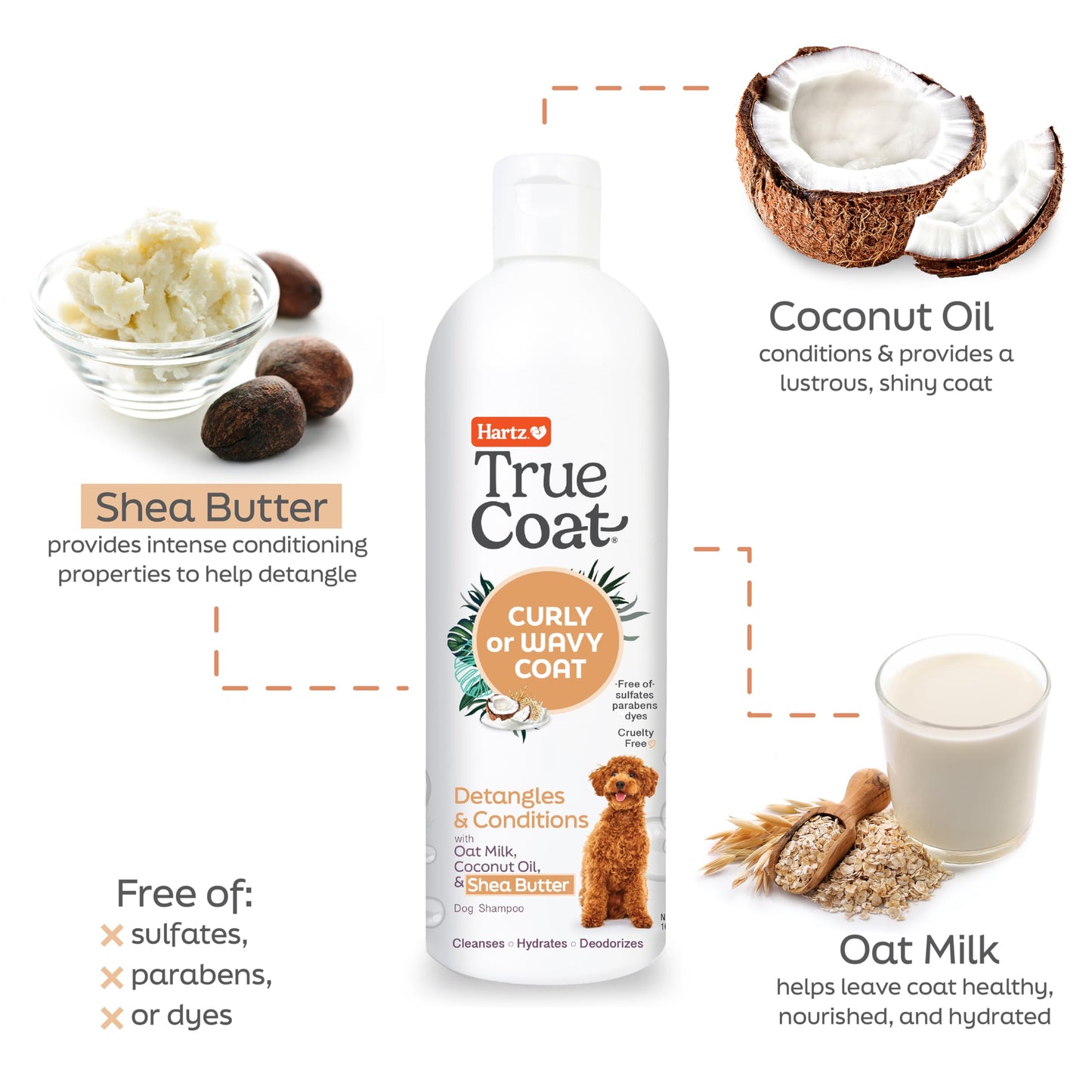 New! Hartz True Coat Curly or Wavy Coat Specific Dog Shampoo, Detangles & Conditions with Oat Milk, Coconut Oil & Shea Butter