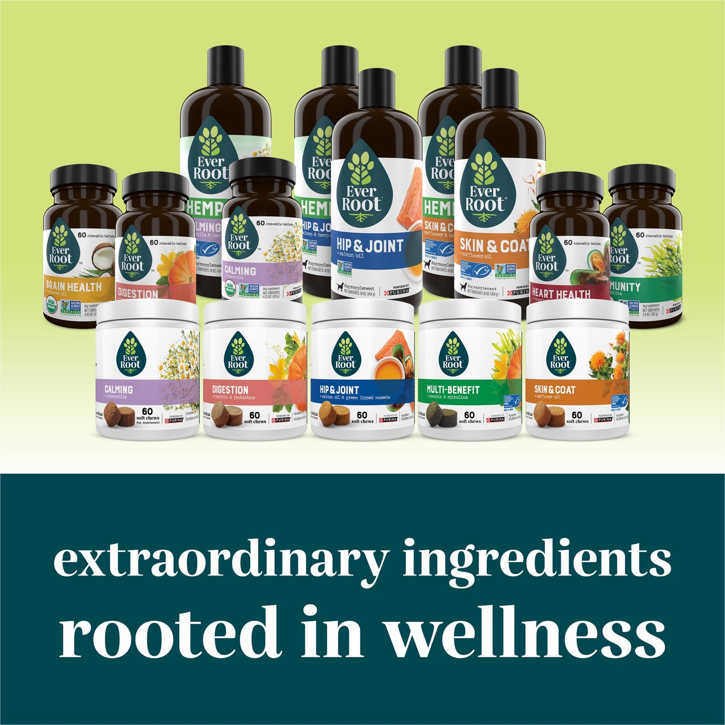 EverRoot By Purina Multi-Benefit Dog Supplements Soft Chews - 10.6 oz. Canister