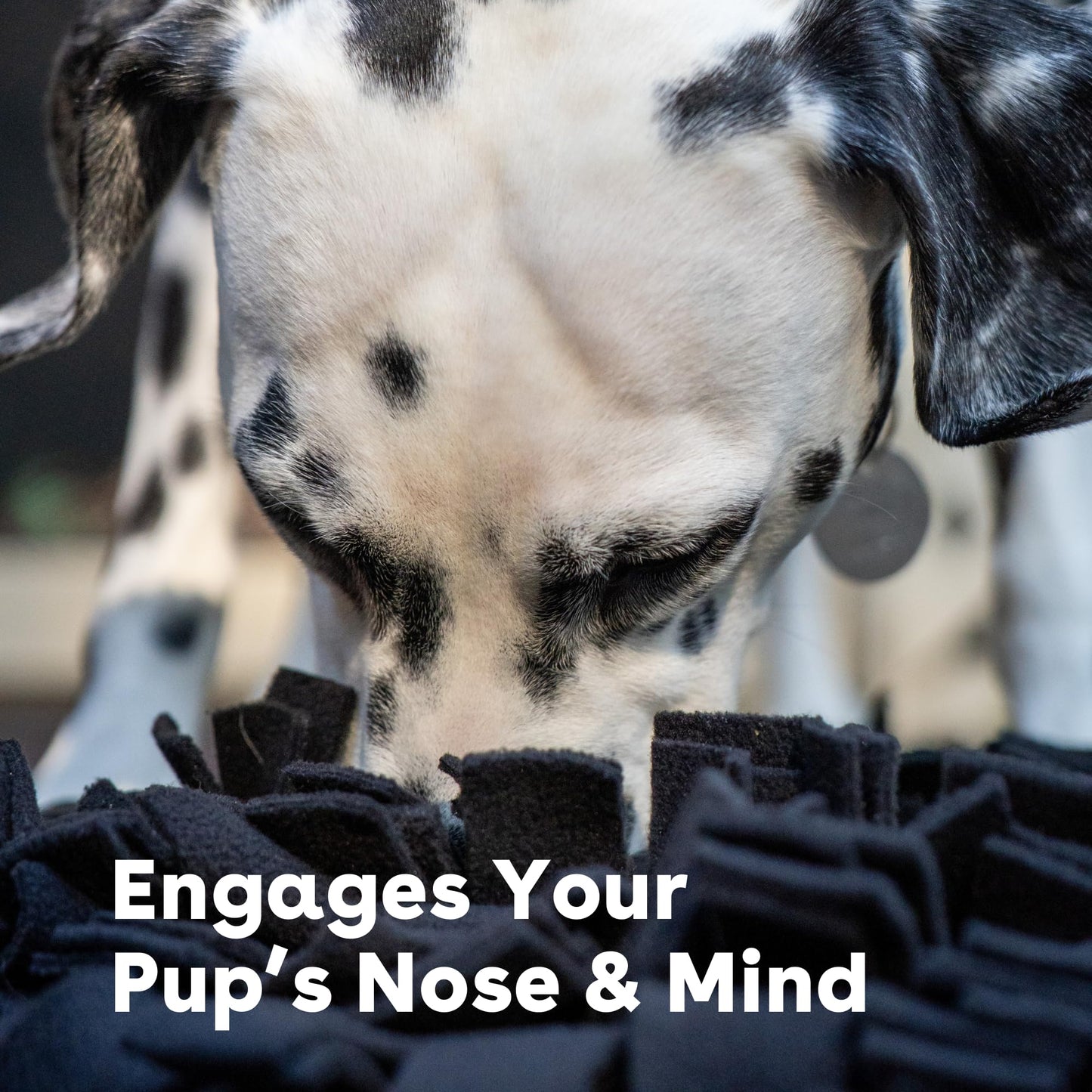 Pupford Snuffle Mat for Dogs, Mental Enrichment Puzzle Toy for Training, Anxiety Relief & Boredom Reduction (18.5” x 12.5”, Black)