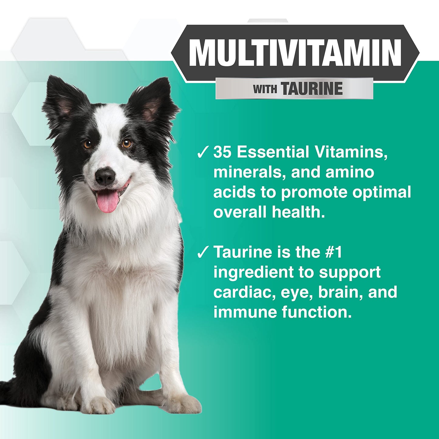 Nootie PROGILITY Daily Multivitamin Chews for Dogs - Supports Immunity, Heart, Eye, Brain, and Bone Health with Taurine- for All Dog Sizes - 90 Soft Chews. - Sold in Over 5,000 Pet Stores