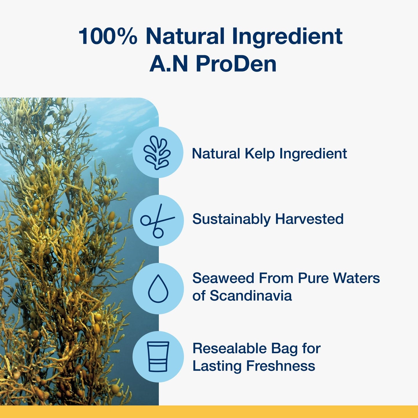 Dr. Marty Dental Treats Small Dog 19.05 oz (30 Dental Chews for Small Dog Breeds)