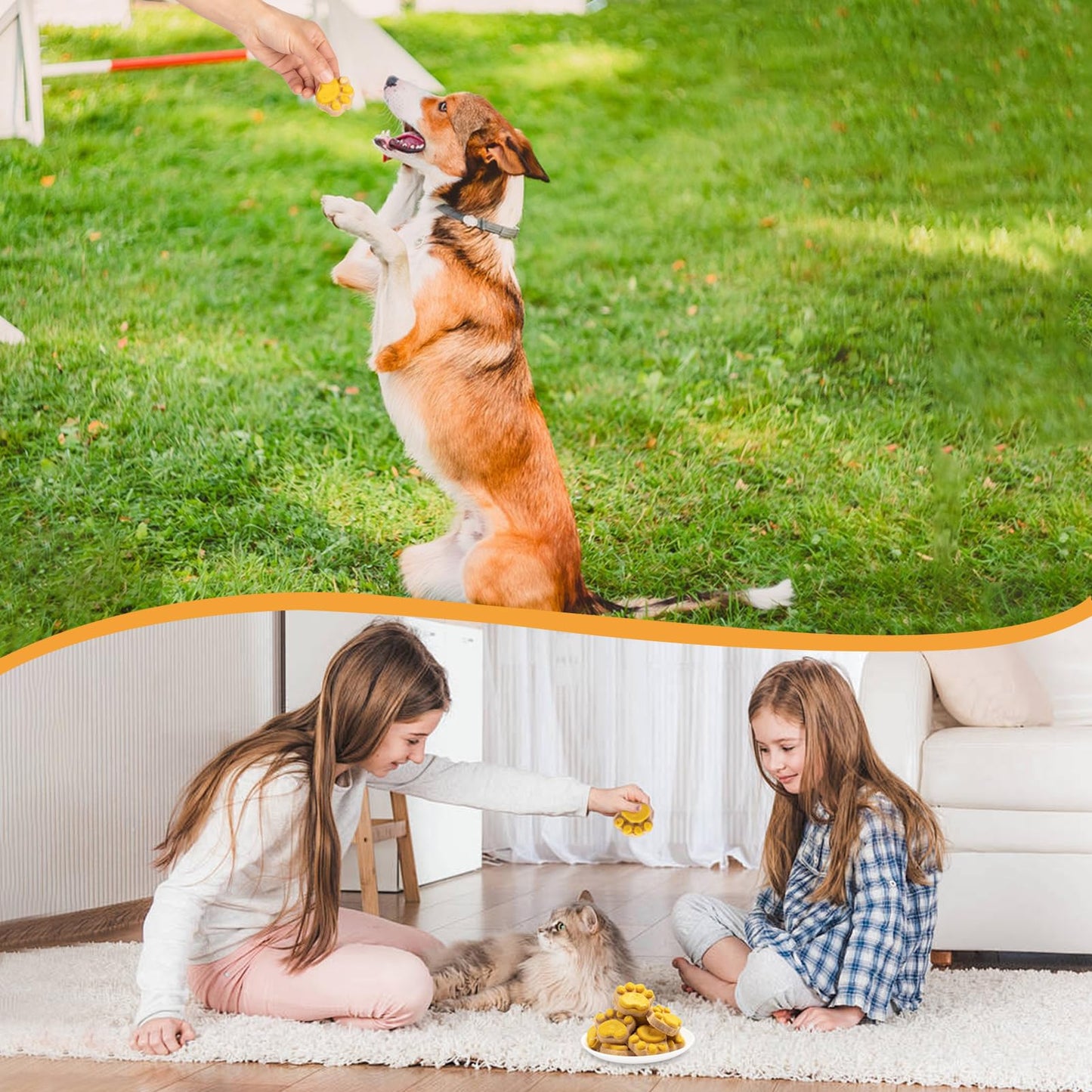 Native Pet Omega Skin and Coat Chews for Dogs (60 Air-Dried Chews) & Yak Chew (5 Small Chews) - All Natural Dental Sticks Made with Yak Cheese & Pure Omega 3 Fish Oil