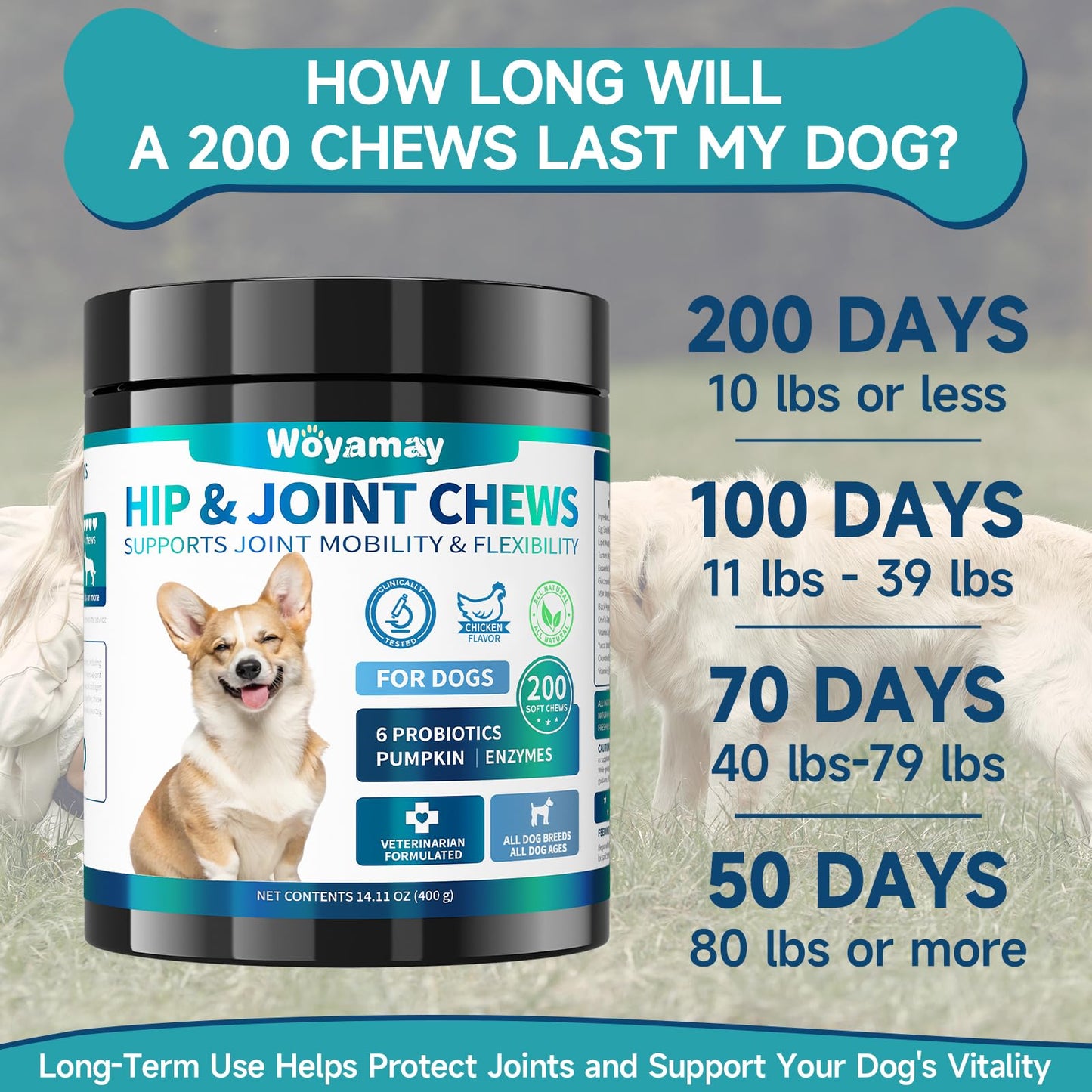 Hip and Joint Supplement for Dogs, Glucosamine for Dog Joint Supplement, 200 Soft Chews with Glucosamine, Chondroitin and MSM Dog Hip and Joint Supplement for All Ages and Breeds, Chicken Flavor