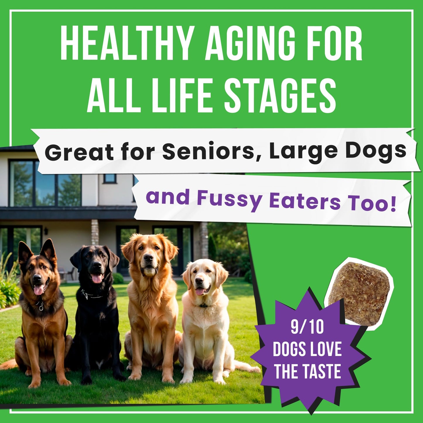 Glucosamine for Dogs - Joints Health Treats w/Omega Fish Oil - Natural Joint Pain Relief - Canine Hip and Joint Supplement w/Chondroitin + MSM + Turmeric + Calcium - 120 Beef Chews