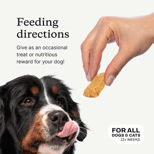 PetLab Co. Salmon Bites for Dogs – Rich in Beneficial Fatty Acids, Vitamins & Minerals - Premium Salmon Dog Treats Your Pup Will Drool Over - Carefully Selected Ingredients – Delicious Reward