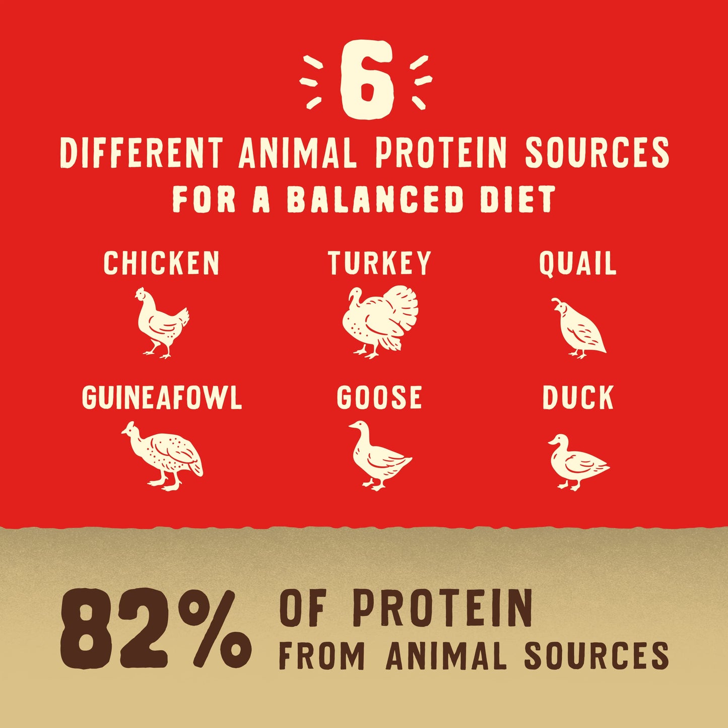 ACANA Premium Pate in Bone Broth Grain-free Wet Dog Food Puppy Recipe 12.8oz Cans (12 Count)