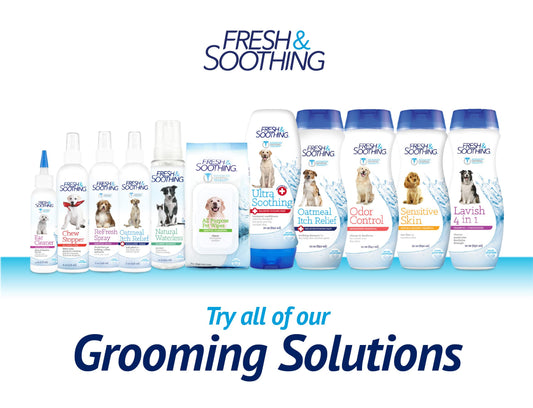 Fresh & Soothing Ultra Soothing Medicated Conditioner for Pets, 22oz - 3 Pack