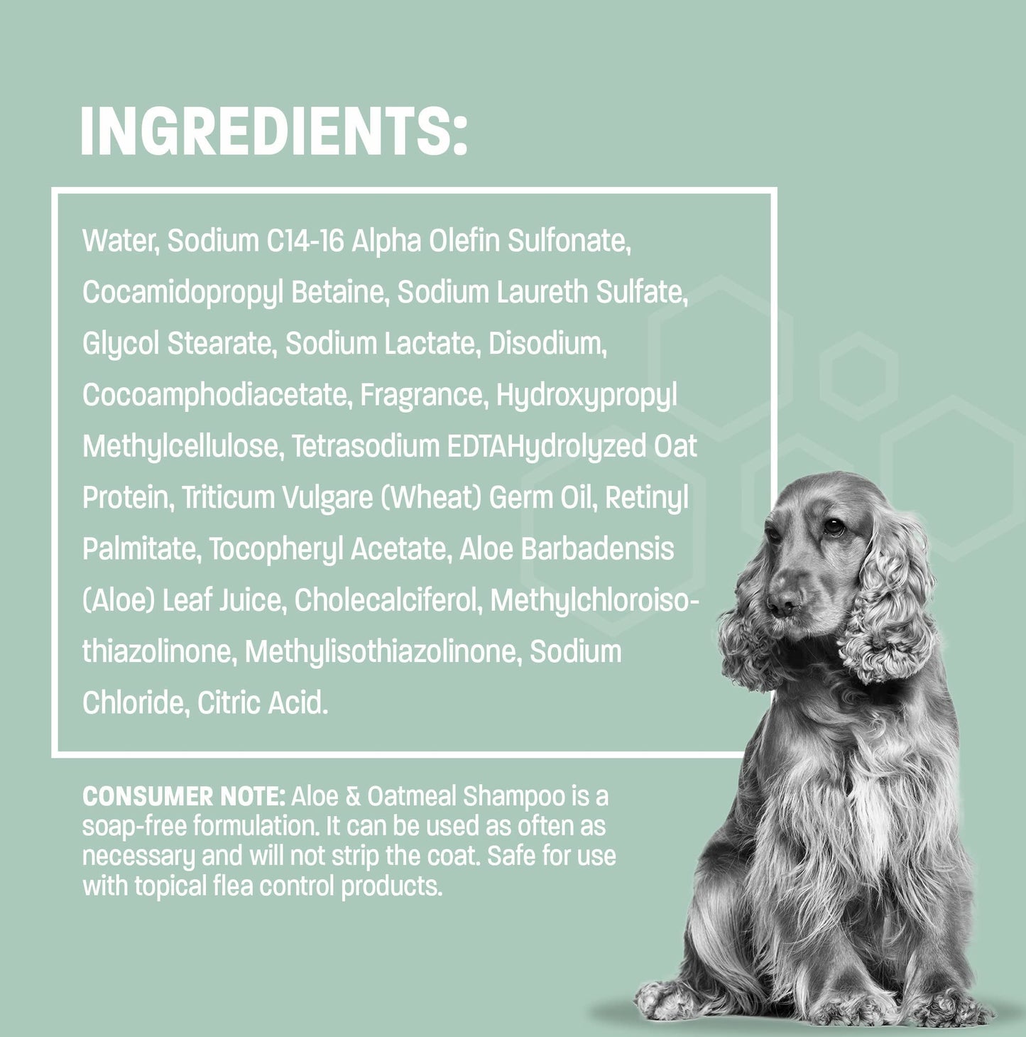 Pet Health Pros Aloe Oatmeal Shampoo for Dogs - Sensitive Skin Dog Shampoo for Allergies and Itching – Moisturizing Soap Free Aloe Oatmeal Dog Shampoo and Conditioner for Dry Itchy Skin - 16 oz