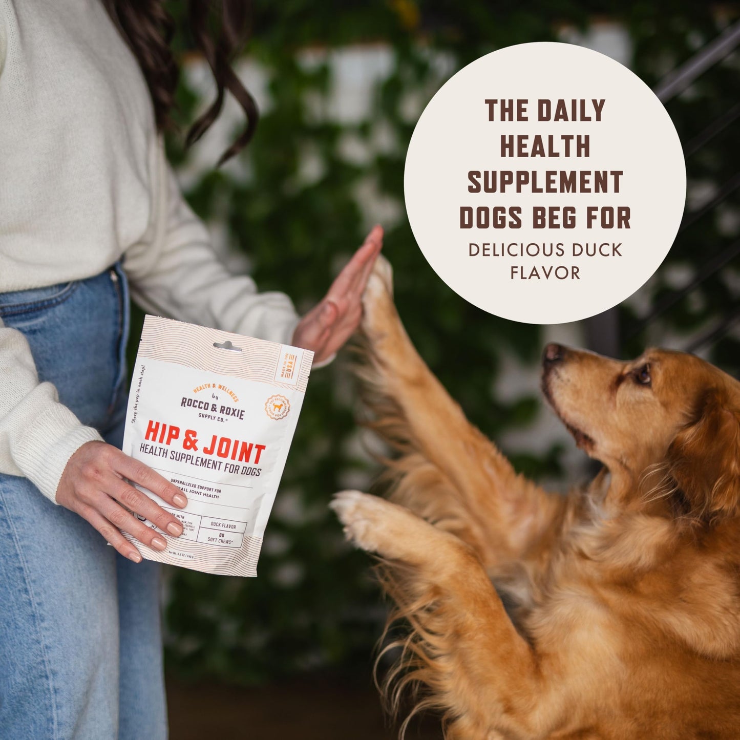 Rocco & Roxie Joint Supplement for Dogs, Glucosamine Hip and Joint Chews, Dog Joint Supplement Large & Small Breed, Senior Dog Vitamins to Support Mobility, Chondroitin, MSM, Health Supplies 60 ct