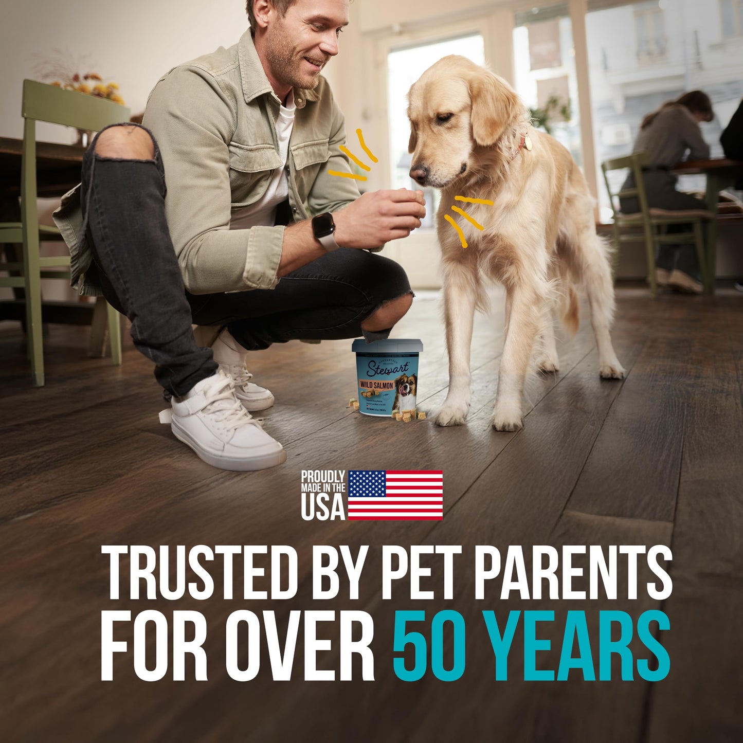 Stewart Single Ingredient Freeze Dried Raw Dog Treats, Wild Salmon, 2.75 Ounce, Approx. 55 Pieces per Resealable Tub, Training Treats or Meal Topper, High Protein, Grain Free, Gluten Free