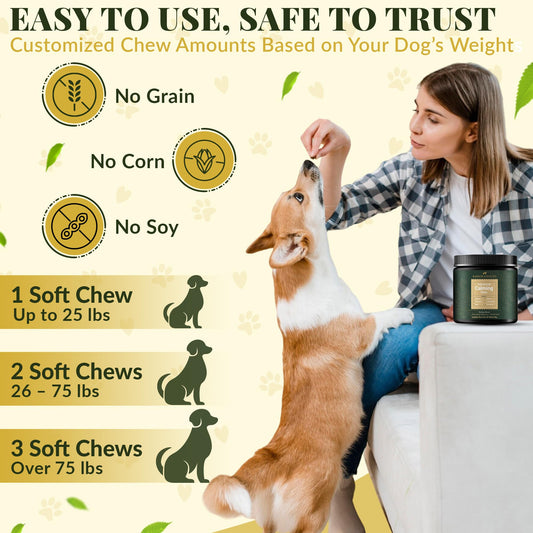 puyrzoe Dog Calming Diffuser with Three Timing Functions, 6-in-1 Dog Pheromones Calming Diffuser Kit, 120-Day Anxiety Relief, Stress Reduction & Relaxation for All Dogs (2 Diffusers + 4 Refills)