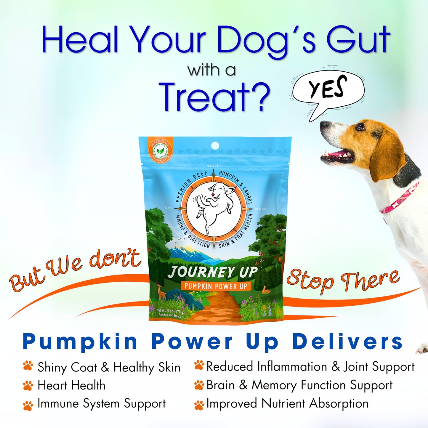 HappyTails Journey Up, Pumpkin Power Up Jerky Treats for Dogs with Beef, Pumpkin & Carrots-Made in USA-Prebiotics for Gut & Immune Health, Omega 3 & 6 for Skin & Coat, Small-Large Dogs, 6 oz.