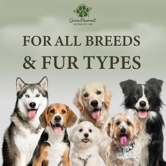 GreenPawrent- Lavender Essential Oil & English Pear Pet Shampoo for Dogs - Sensitive Dog Skin Care for All Breeds. Odor Control & Deep Cleansing - No Paraben No Sulfate & Safe for All Pets - 8.5fl oz