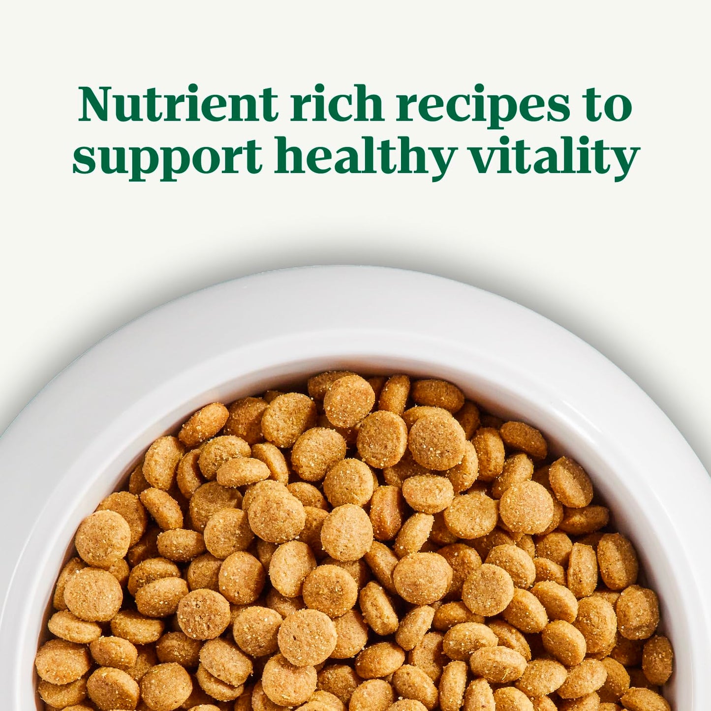 Nutro Natural Choice Puppy Dry Dog Food, Chicken and Brown Rice Recipe, 5 lbs.