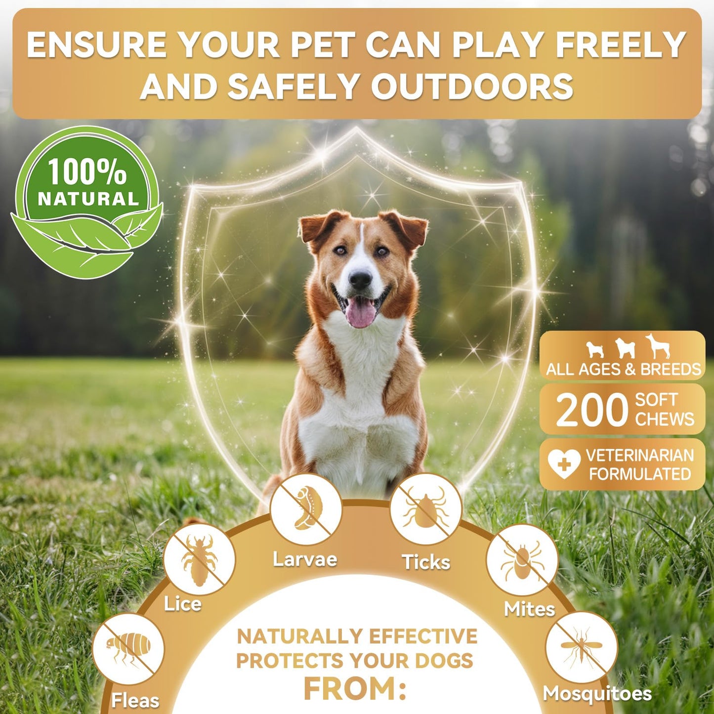 Flea and Tick Prevention for Dogs, 200 Soft Chews for Dog Fleas Ticks Treatment, Natural Dogs Oral Flea Chewables Support Supplement, Flea and Tick Chews for All Breeds & Sizes