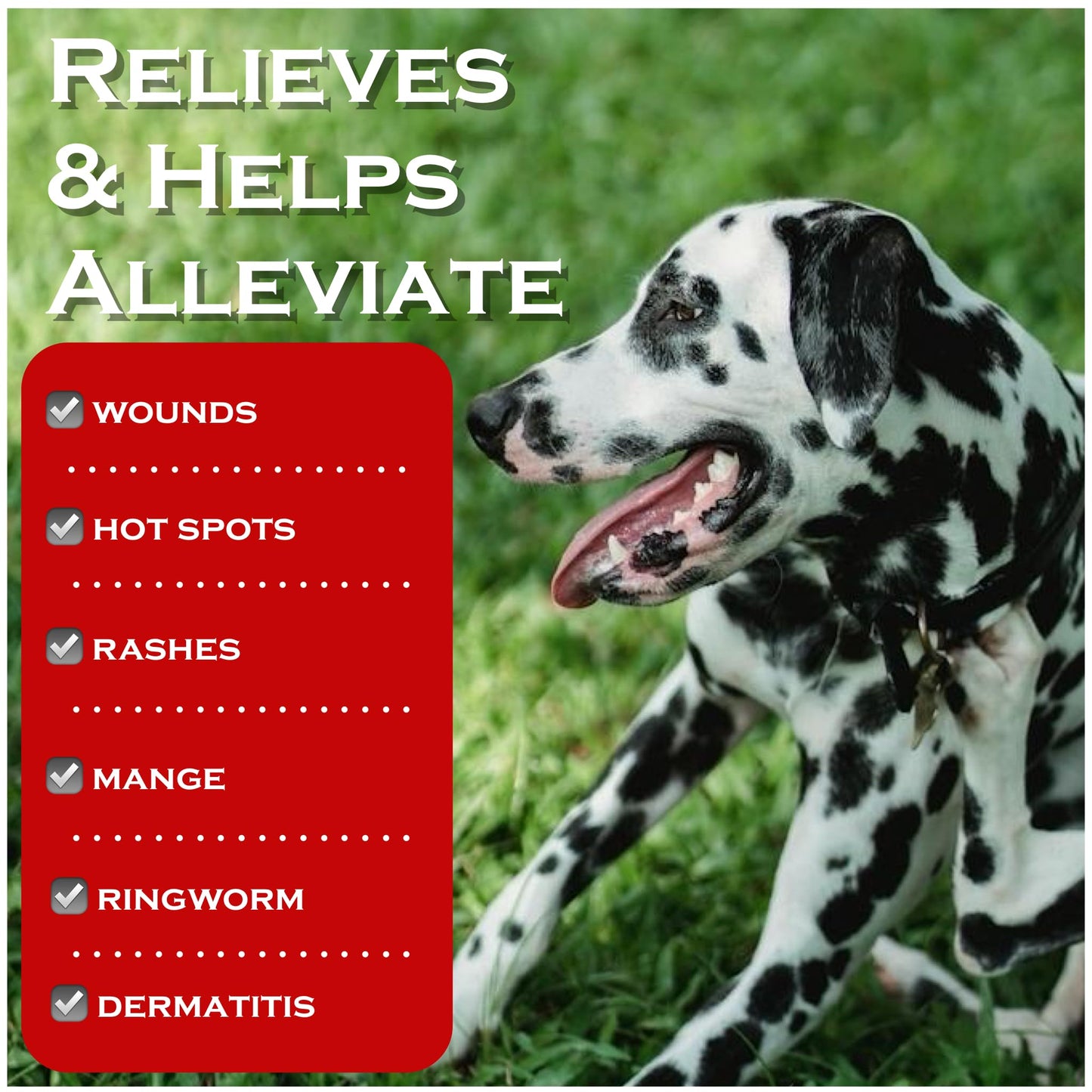 Show Out Skin & Wounds Spray for Dogs & Cat - Remedy for Dog Hot Spot, Dry Skin, Rash, Skin Infection, Ringworm, Mange, Itchy Paws, Irritation on Skin, Skin Allergy, Wound Care (8 Ounces)
