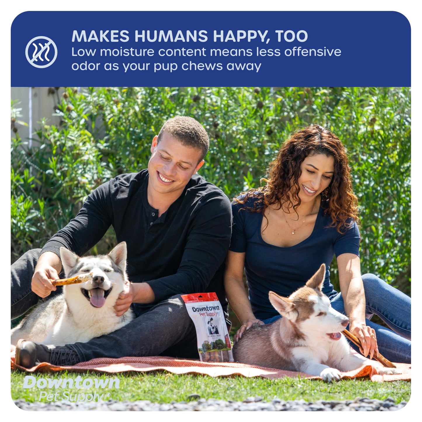 Downtown Pet Supply Bully Sticks for Dogs (6", 24-Pack, Jumbo) Non-GMO, Grain Free, Rawhide Free Dog Chews -Long Lasting and Low Odor Bully Sticks for Large Dogs