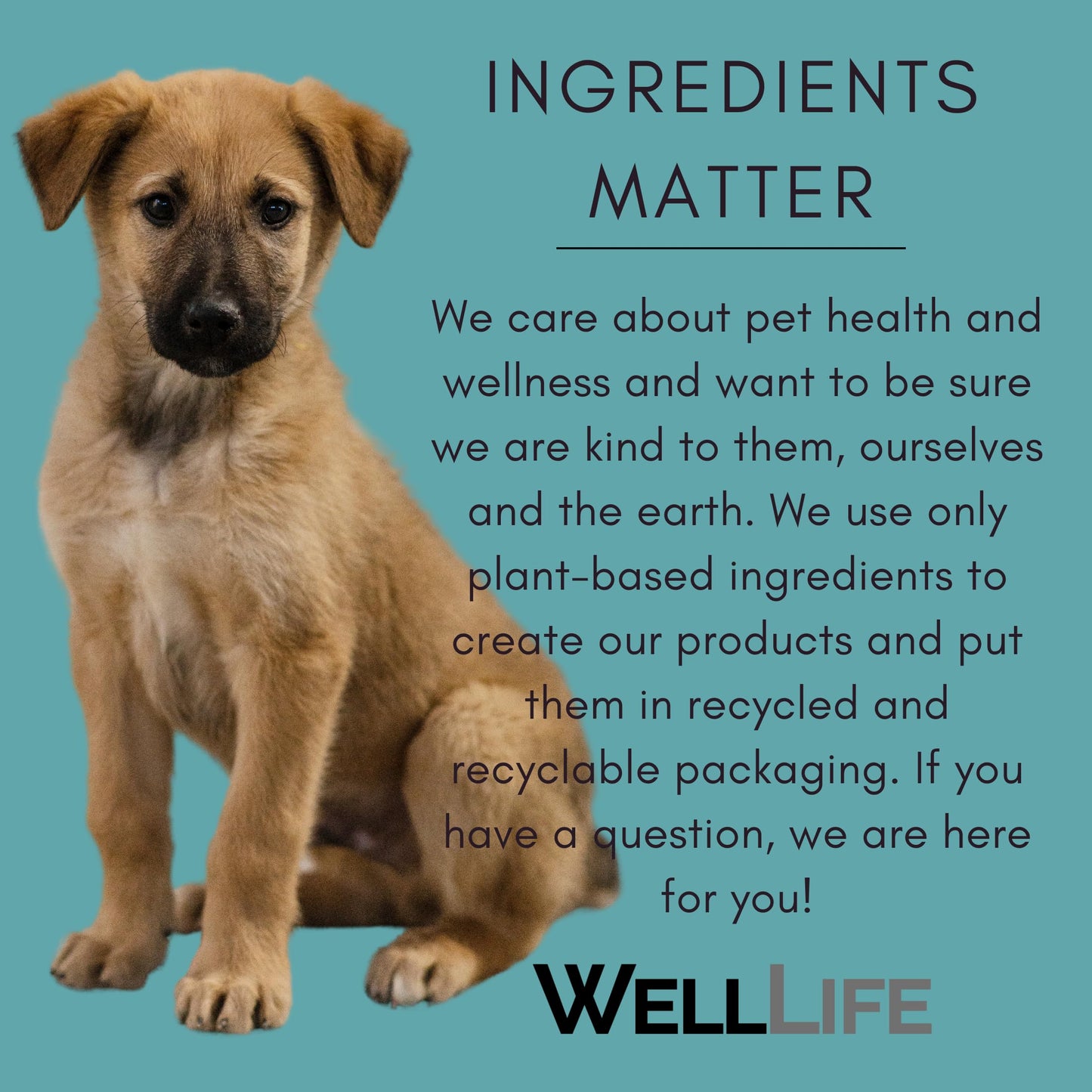 2 in 1 Conditioning Puppy Shampoo Tearless Conditioning Shampoo - Plant-Based Ingredients, Jojoba Oil, Gentle Cleansers - Suitable for All Ages and Skin Types, Dry, Itchy, Normal