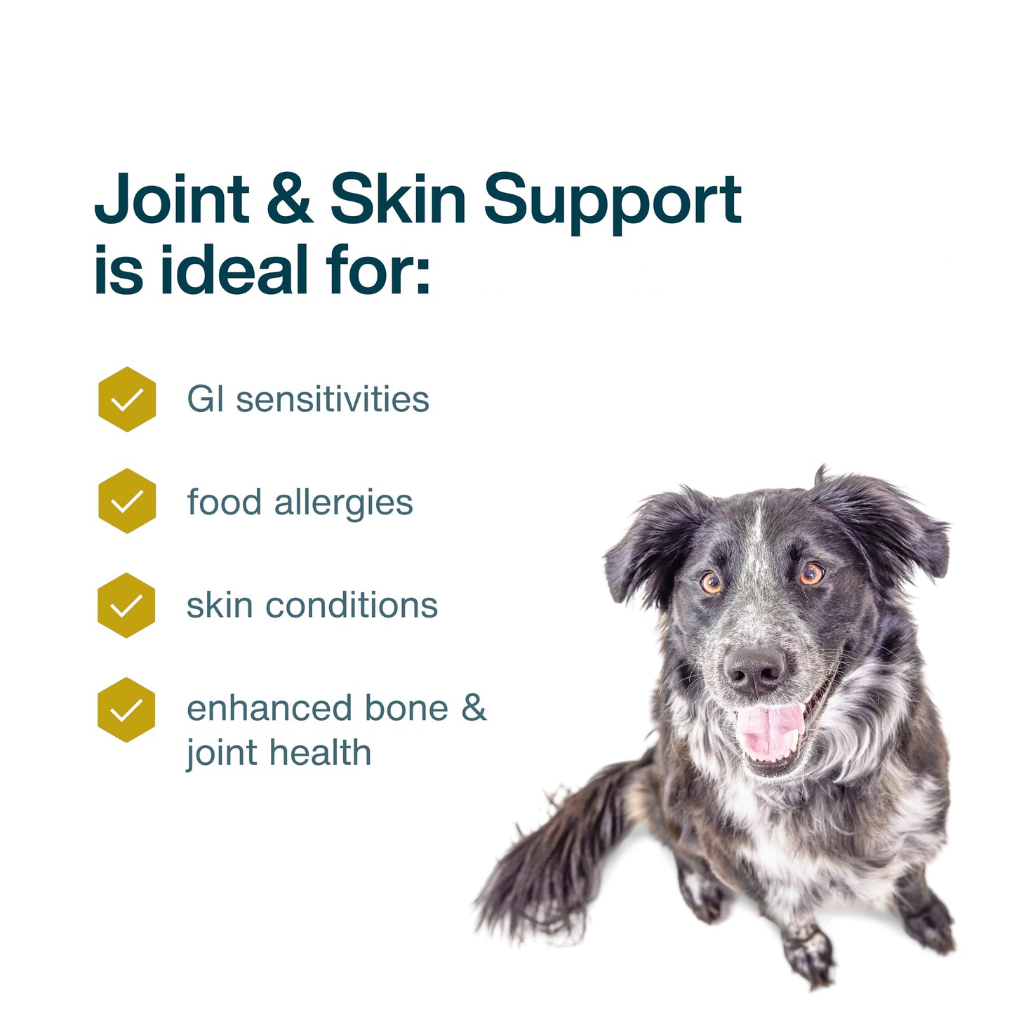 JustFoodForDogs Frozen Fresh Dog Food for Sensitive Skin Allergies, Joint Health, Complete Meal or Human Grade Dog Food Topper, Joint & Skin Support, 18 oz (Pack of 7)