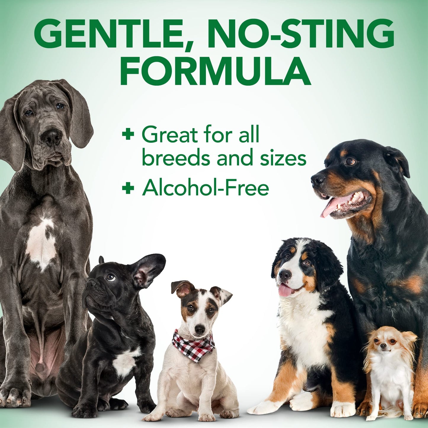 Vet's Best Dog Ear Relief Wash - Alcohol-Free No-Sting Formula - Controls Odors & Itching - Cleans Wax & Debris - 16 Ounces
