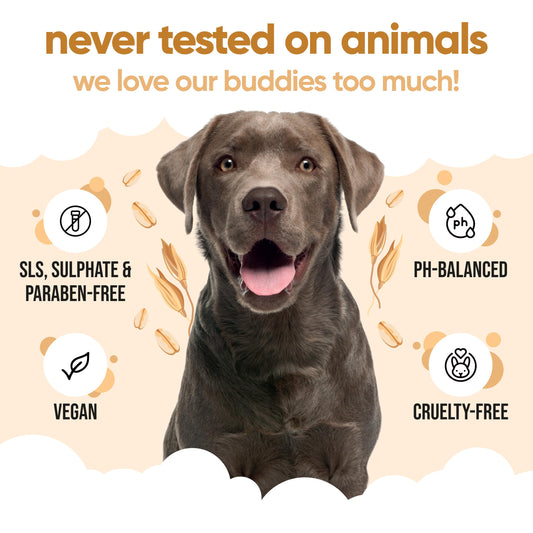 Buddycare Oatmeal Dog Shampoo for Smelly Dogs (16.90oz) - Hypoallergenic & Itch Relief Formula, Gentle on Sensitive Skin, Includes Dog Shampoo and Conditioner - Essential Dog Grooming Supplies