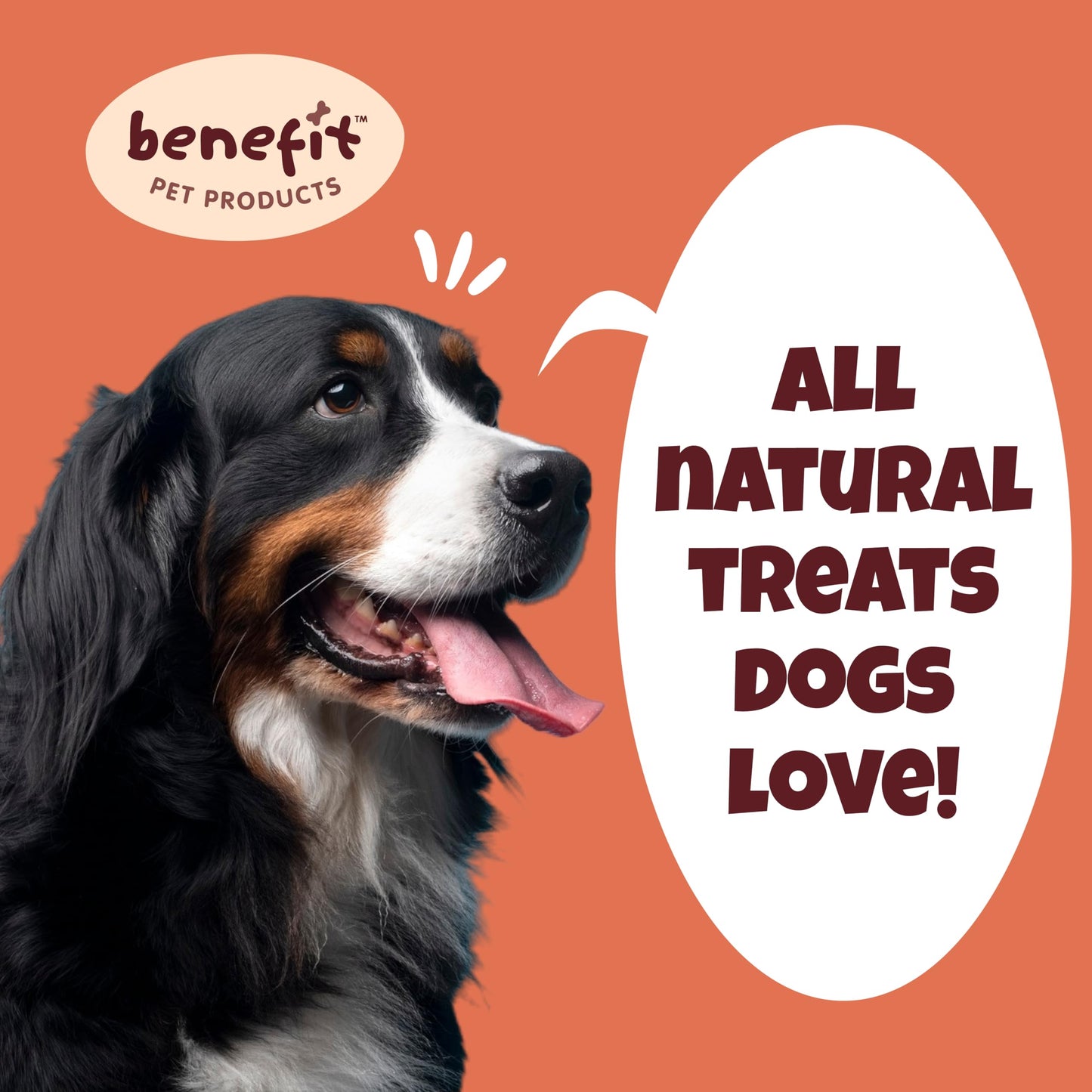 Benefit Pet Products Collagen for Dogs - Single Ingredient Dog Treat, Rawhide Free, Collagen for Dogs, Long Lasting Dog Chews (6 inch, 5 ct)