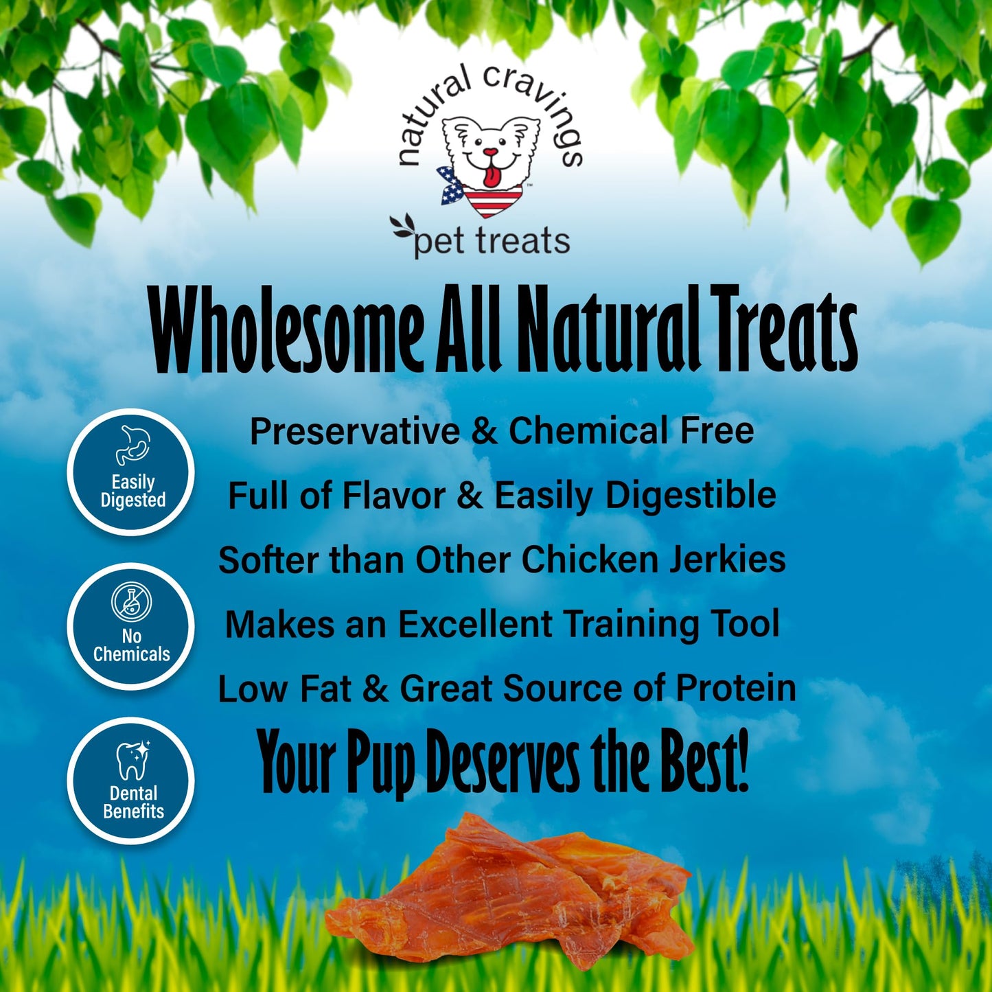 Natural Cravings: Chicken Breast Strips - 10 oz - Dog Treats, Single Ingredient, High Protein Snack, Breakable for Training Rewards, No Preservatives