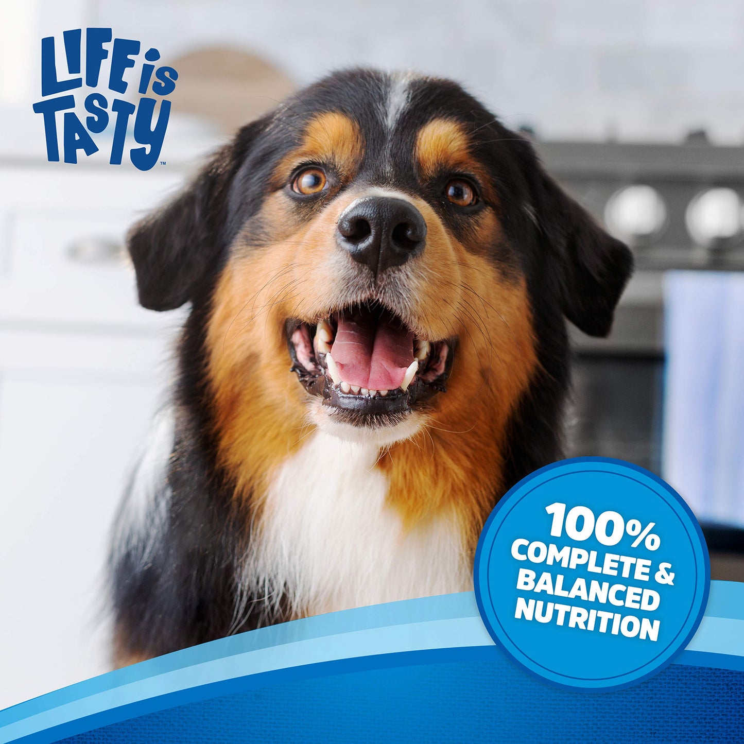 Kibbles 'N Bits Small Breed Mini Bits Savory Beef & Chicken Flavors Dog Food, 16-Pound(Pack of 1)