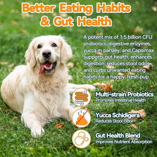 No Poo Chews for Dogs - 200 Chews Coprophagia Deterrent for Dogs - Stool Eating Deterrent with Probiotics & Enzymes for Digestive, Teeth Health & Immune - Stop Dog Poop Eating - Chicken Flavor