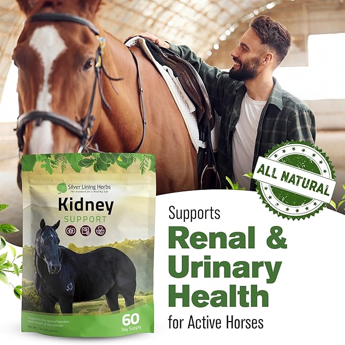 Silver Lining Herbs Kidney Support Supplement for Horses - Horse Supplements for Kidney Health and Bladder Support - Complete with Chamomile, Garlic, Juniper Berry, and More - 1 lb 60-Day Supply