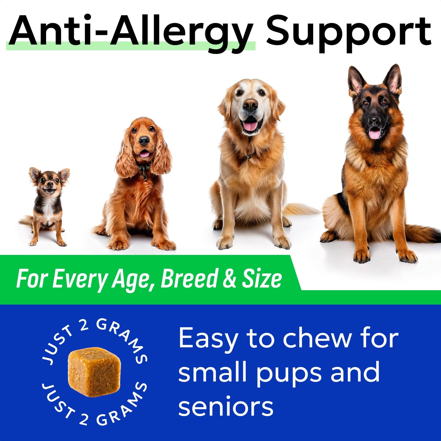 BARK&SPARK Dog Allergy Relief Chews - Anti-Itch Skin & Coat Supplement - Omega 3 Fish Oil - Itchy Skin Relief Treatment Pills - Itching&Paw Licking - Dry Skin&Hot Spots - (60 Immune Treats - Chicken)