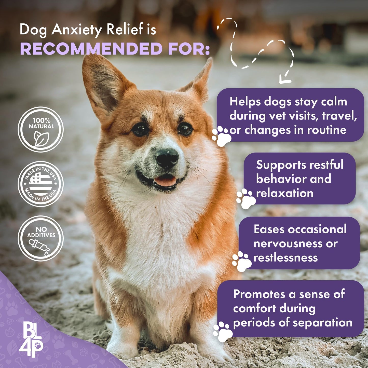Pet Relax Dog Calming Anxiety Relief, Long-Lasting Dog Relaxants for Stress Relief, Natural Solution for Separation Anxiety, Travel, Thunderstorms, and Fireworks, 400 Odorless, Tasteless Pills