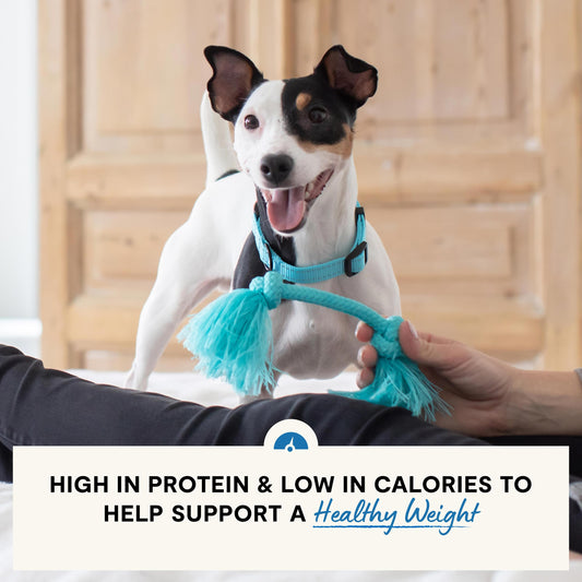 Open Farm, Healthy Weight Dog Food, Veterinarian Formulated High-Protein & Low-Calorie Dry Dog Food for Weight Management, Supports Metabolism & Mobility, Chicken & Whitefish Recipe, 22lb Bag