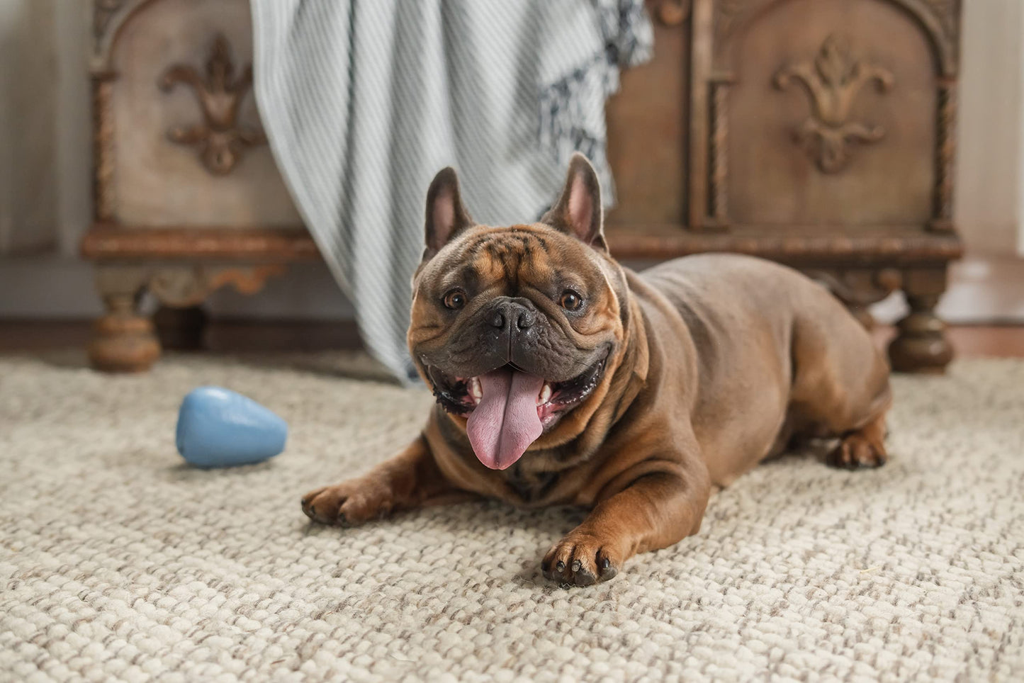 Harry Barker Durable Rubber Treater Toy - Medium