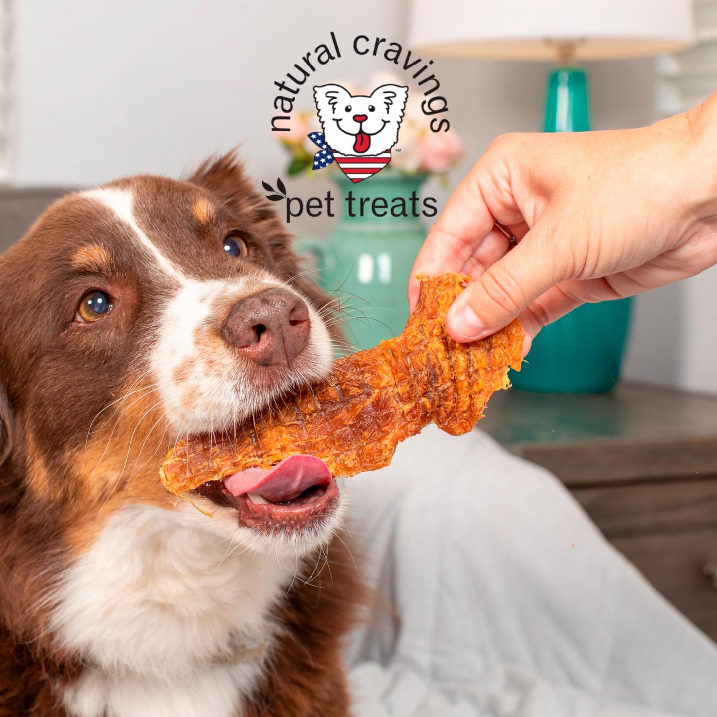 Natural Cravings: Chicken Breast Strips - 10 oz - Dog Treats, Single Ingredient, High Protein Snack, Breakable for Training Rewards, No Preservatives