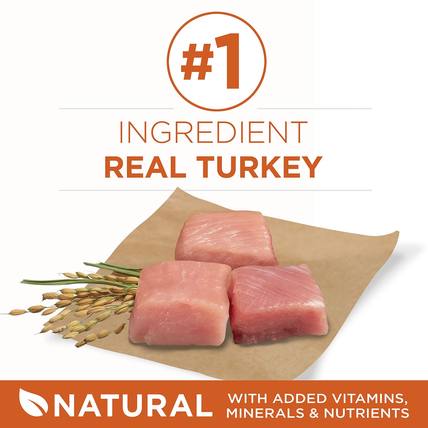 Purina ONE Plus Healthy Weight High-Protein Dog Food Dry Formula - 8 lb. Bag