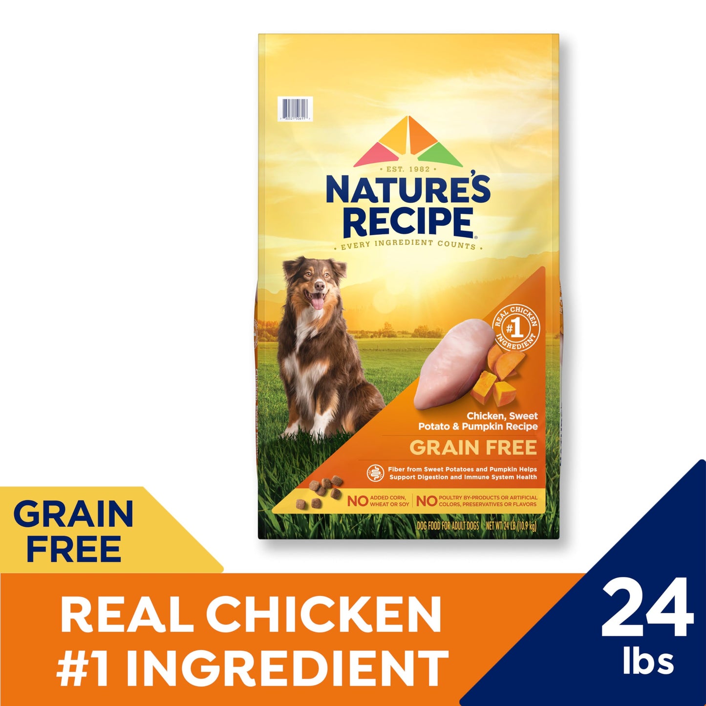 Nature’s Recipe Grain Free Chicken, Sweet Potato & Pumpkin Recipe Dry Dog Food, 24 lb. Bag