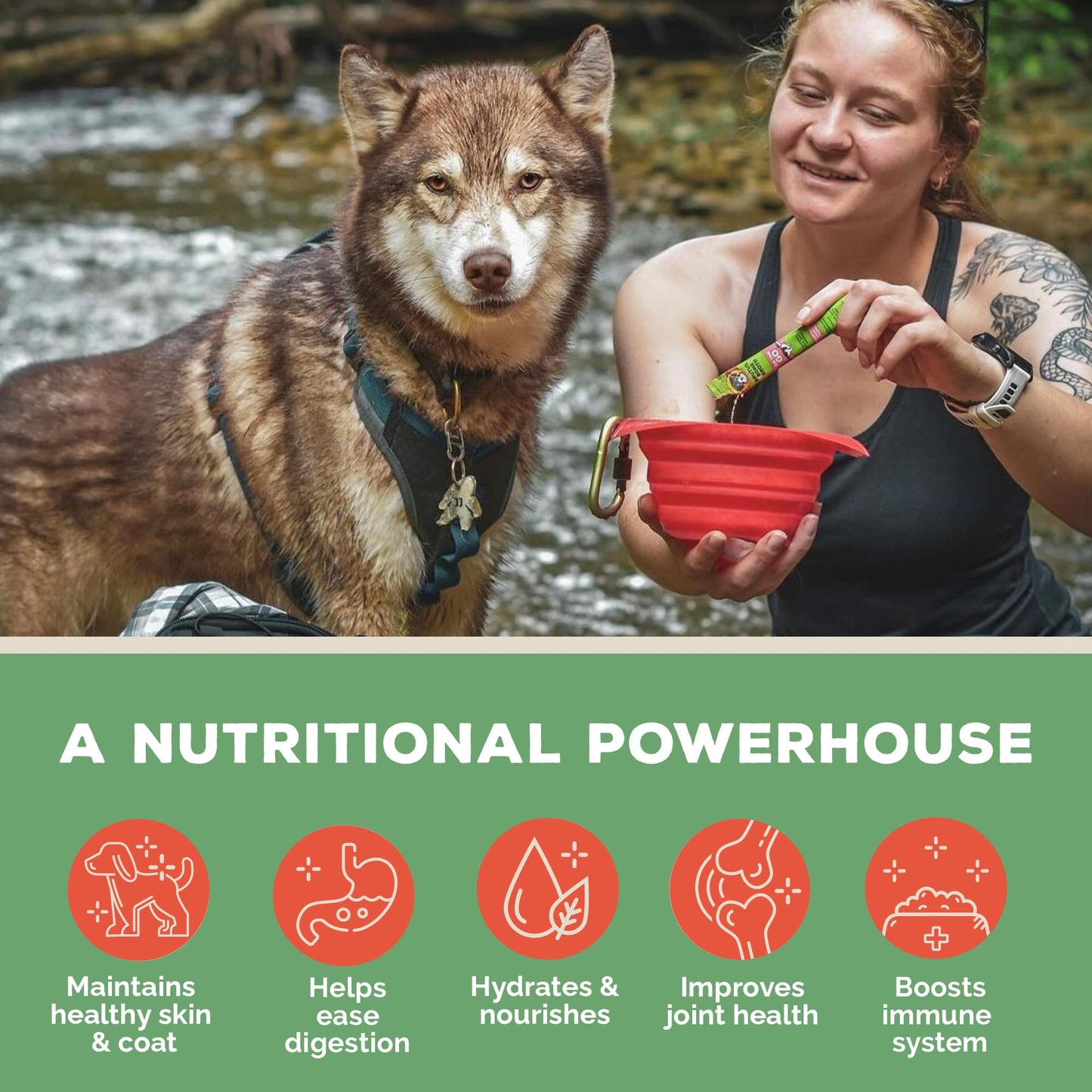 Brutus Broth Instant On The Go Vegetable Powder for Dogs - Vegetable Powder with Omegas 3, 6 & 9 & Turmeric - Human Grade Food Toppers for Dry Food & Picky Eaters - 5 Stick (Salmon Flavor)