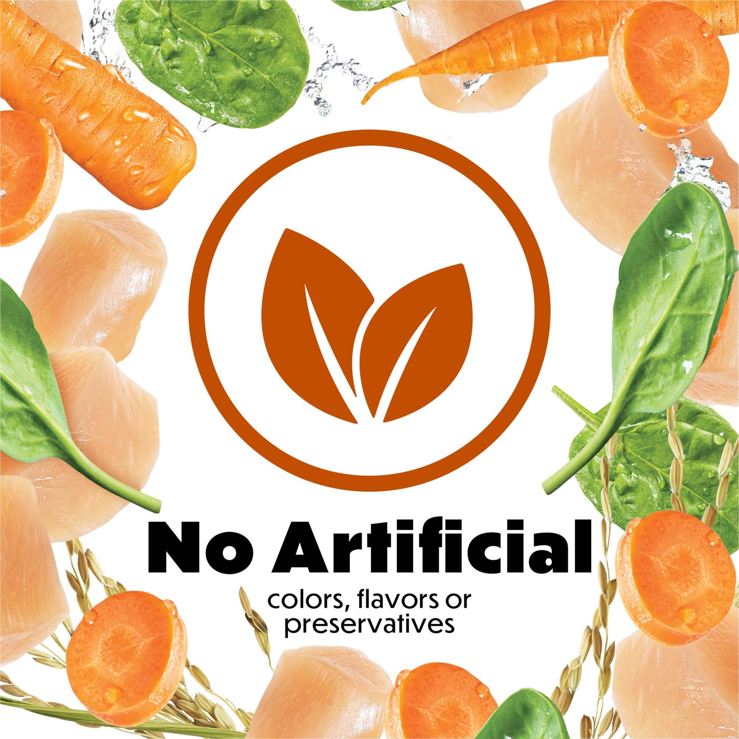 Purina Beneful Gravy Wet Dog Food, Prepared Meals Roasted Chicken Recipe - (8) 10 oz. Tubs