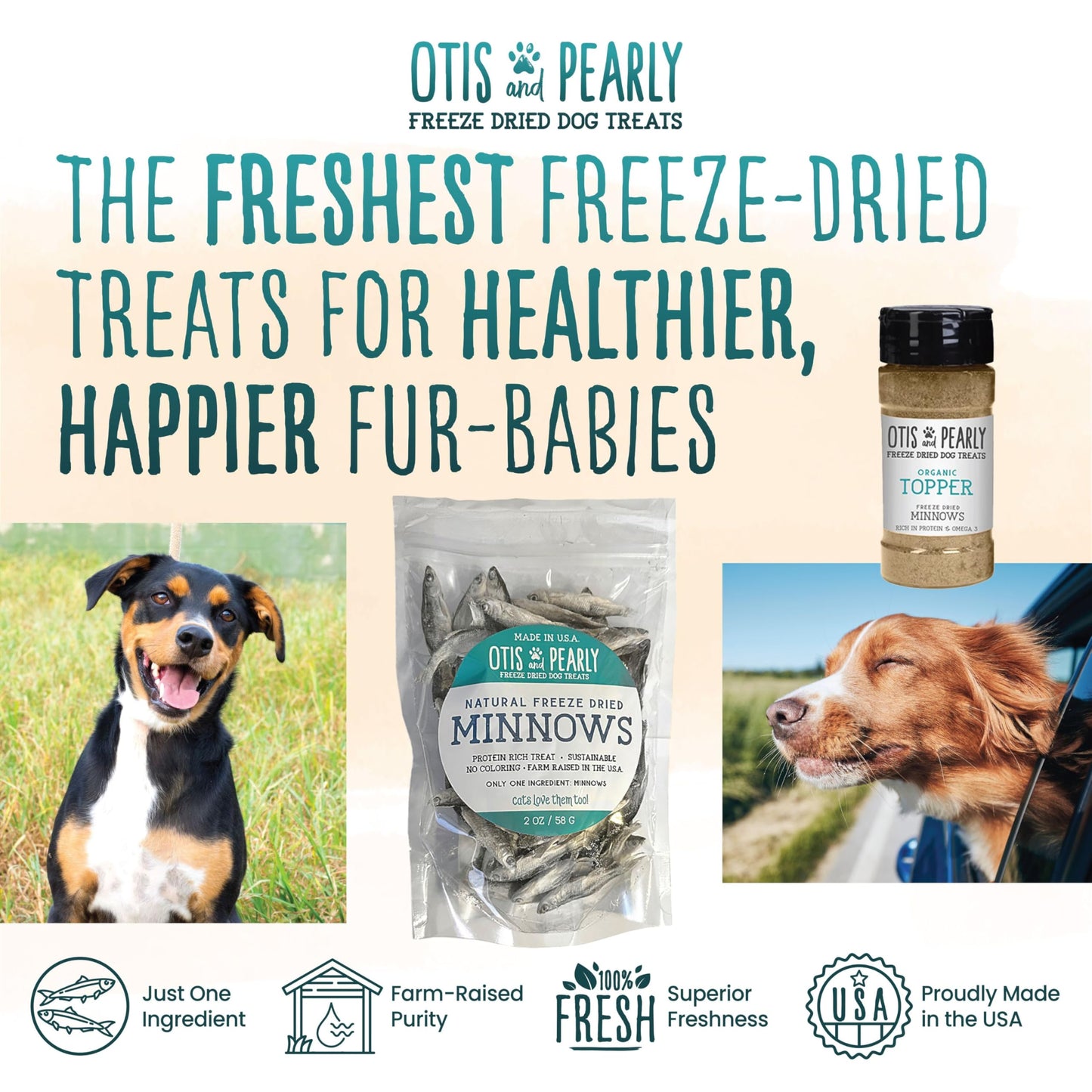 Otis & Pearly Freeze Dried Minnow Dog Treats - Single Ingredient, Made in USA - Healthy Protein Treat for Small, Medium, Large Breeds, 2oz
