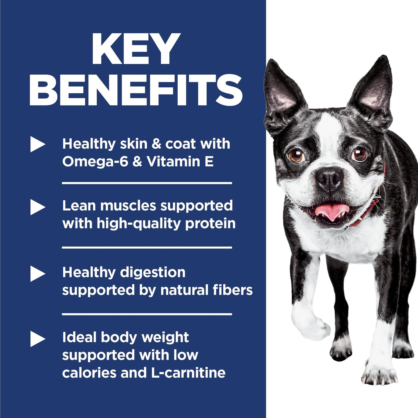 Hill's Science Diet Light , Adult 1-6, Weight Management Support, Small Kibble, Dry Dog Food, Chicken & Barley, 5 lb Bag