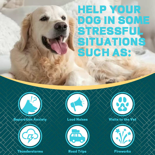 Alitake Hemp Calming Chews for Dogs - Dog Calming Treats Anxiety Relief 100% Golden Ratio of Natural Ingredients Calming Dog Treats, Aid with Separation, Barking, Stress Relief, Thunderstorms (Duck)