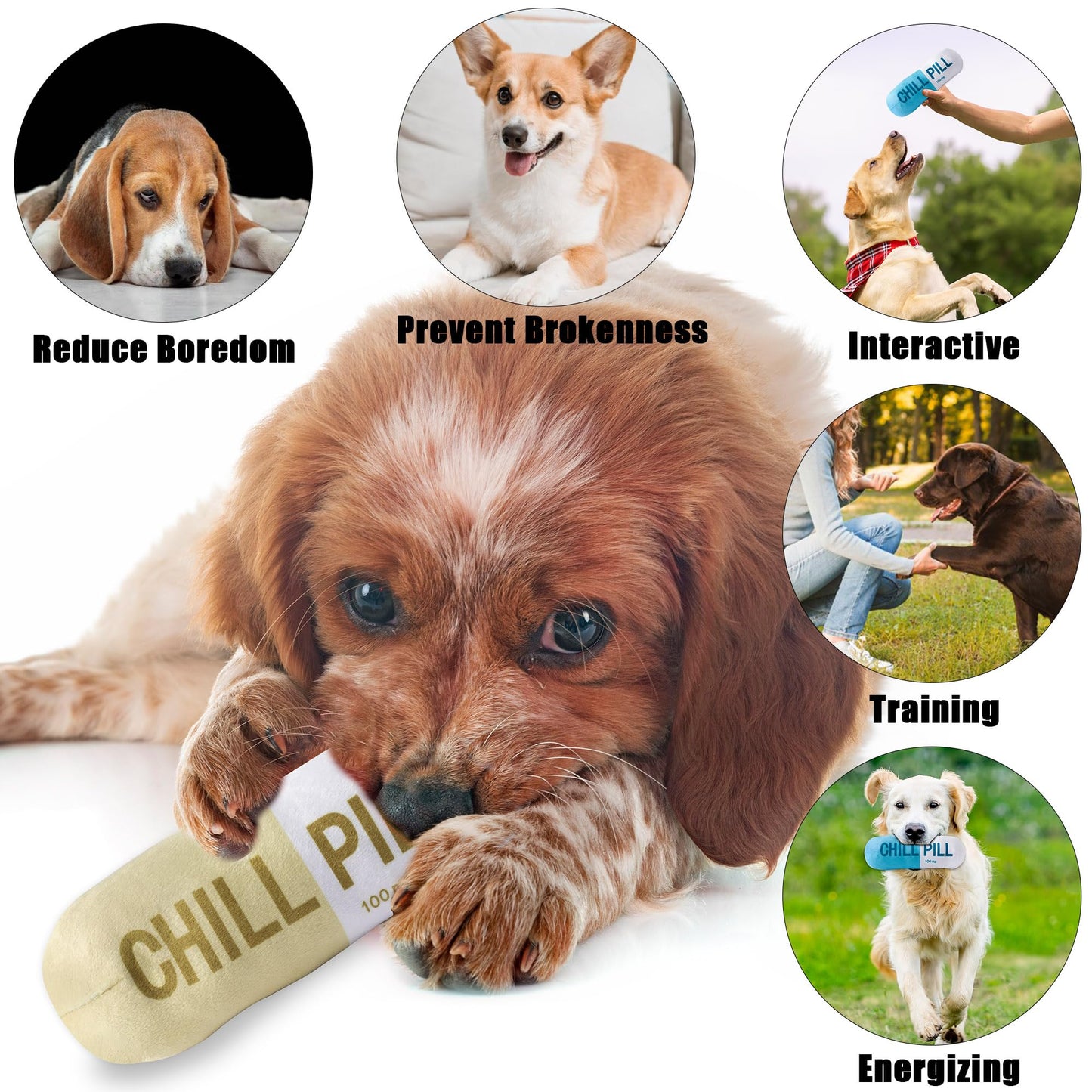 CUweipeng Squeaky Dog Chew Toys - 3Pcs Chill Pill Capsule Teething Squeak Small Plush Dog Toy Keep Them Busy Aggressive Chewers Bite Kick Interactive Training Play Pet Lover Gifts Present Photo Props
