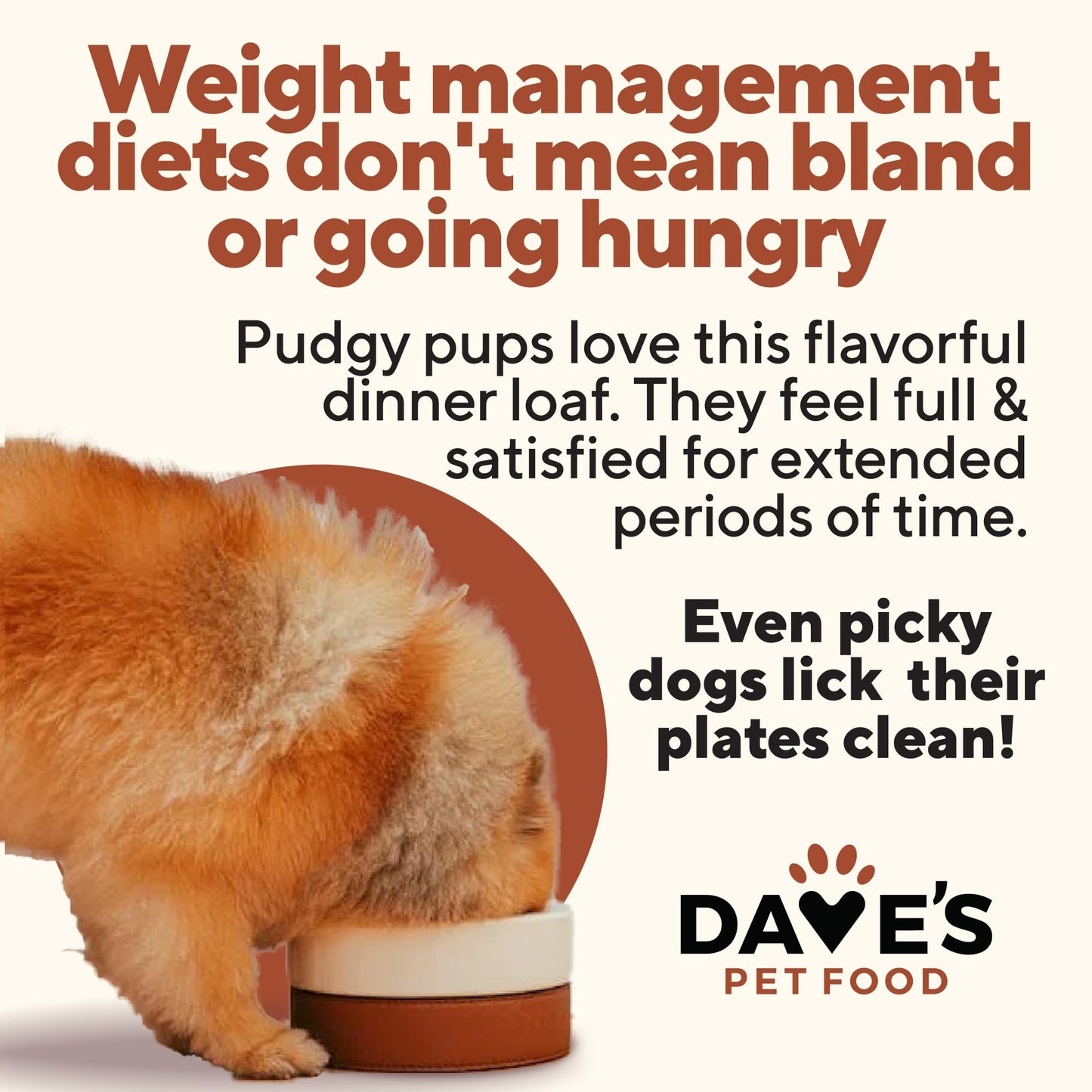 Dave's Pet Food Weight Management Dog Food (Turkey & Vegetables), Made in USA, Weight Loss, Soft, Canned Wet, 13.2oz (12 Pack)