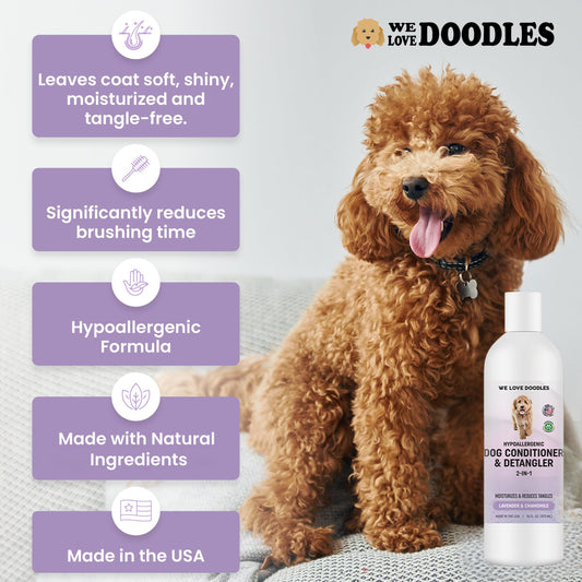 We Love Doodles Dog Conditioner & Detangler, 2-in-1 Conditioner for Allergies & Itching, Dog Lotion for Dry Itchy Skin, for Poodles, Doodles, & Goldendoodles, 16oz