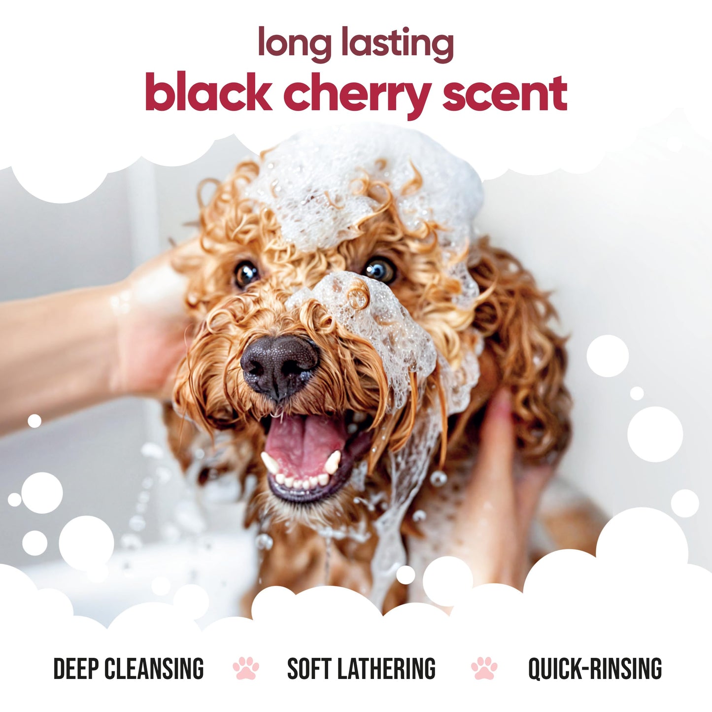 Black Cherry Dog Shampoo by Buddycare | Dry Skin & Itchy Skin Relief for Smelly Dogs | Deep Cleansing for Dogs Puppy Sensitive Skin | Dog Shampoo & Conditioner | with Aloe & Vitamin B5 (16.90oz)