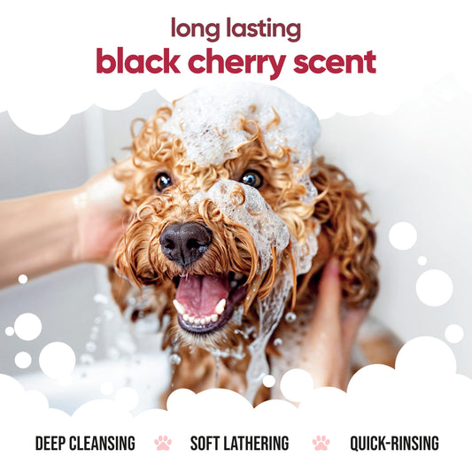 Black Cherry Dog Shampoo by Buddycare | Dry Skin & Itchy Skin Relief for Smelly Dogs | Deep Cleansing for Dogs Puppy Sensitive Skin | Dog Shampoo & Conditioner | with Aloe & Vitamin B5 (16.90oz)